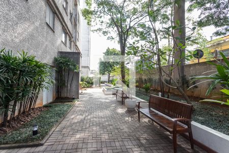 Apartamento à venda com 62m², 3 quartos e 2 vagasÁrea comum