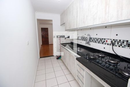 Cozinha  de apartamento para alugar com 2 quartos, 47m² em Jardim Esmeralda, São Paulo