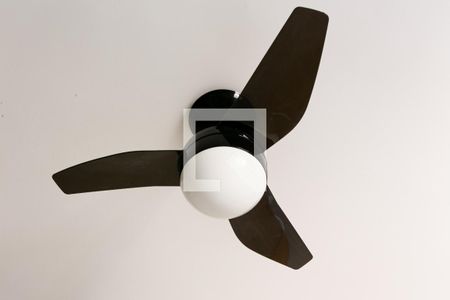 Studio para alugar com 25m², 1 quarto e sem vagaStudio - Ventilador de Teto