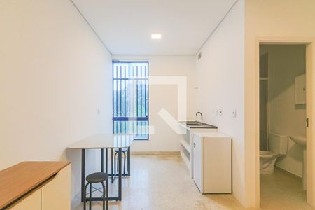 Studio de kitnet/studio para alugar com 1 quarto, 22m² em Vila Antonio, São Paulo