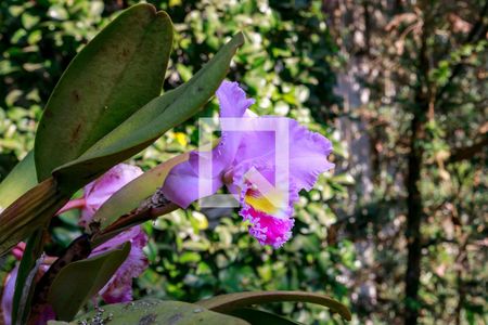 Casa à venda com 394m², 4 quartos e 4 vagasJardim