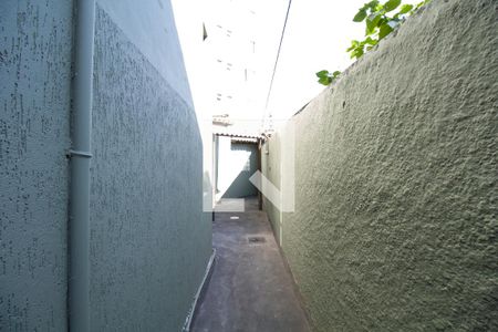 Studio para alugar com 50m², 1 quarto e 1 vagaQuintal