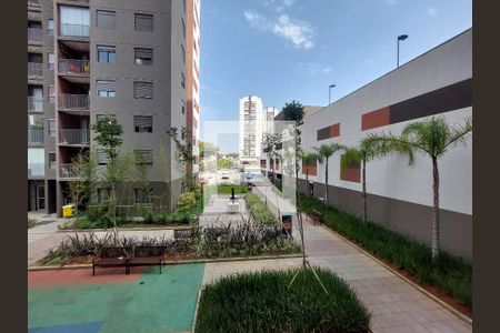 Apartamento para alugar com 46m², 2 quartos e 1 vaga Apartamento para alugar com 46m², 2 quartos e 1 vagaVista - Quarto 2
