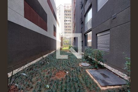 Apartamento para alugar com 46m², 2 quartos e 1 vaga Apartamento para alugar com 46m², 2 quartos e 1 vagaJardim