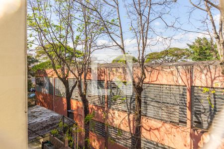 Apartamento para alugar com 66m², 3 quartos e sem vagaVista