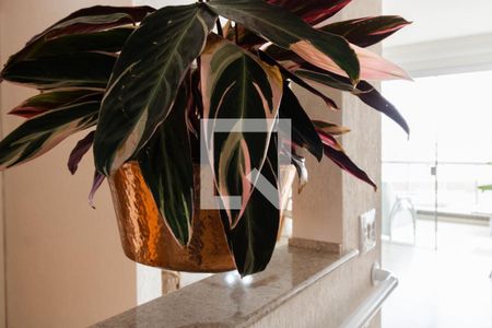 Detalhe de apartamento para alugar com 4 quartos, 189m² em Centro, Guarujá