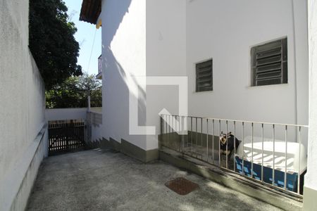 Casa à venda com 342m², 3 quartos e 7 vagasLateral da casa - Canil