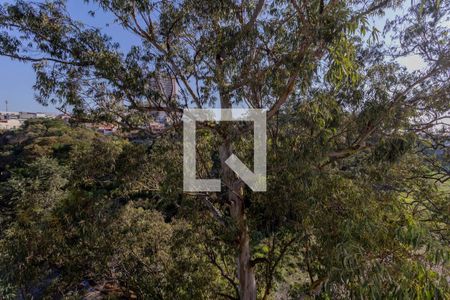 Vista Quarto 1 de apartamento à venda com 2 quartos, 49m² em Vila Carmosina, São Paulo