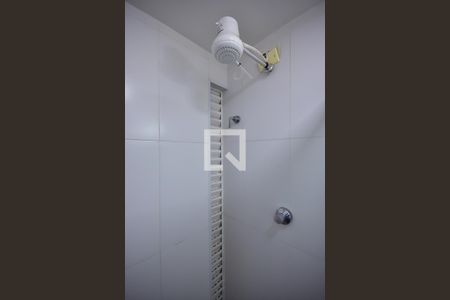 Apartamento para alugar com 75m², 3 quartos e 1 vaga Apartamento para alugar com 75m², 3 quartos e 1 vagaChuveiro do Banheiro