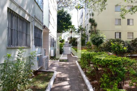 Apartamento para alugar com 52m², 2 quartos e 1 vaga Apartamento para alugar com 52m², 2 quartos e 1 vagaÁrea comum