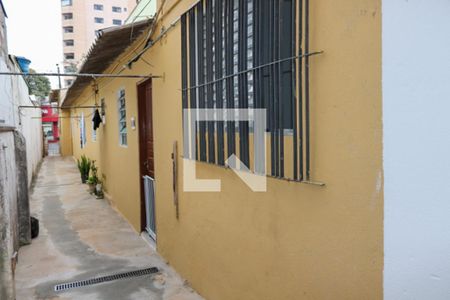 Casa para alugar com 30m², 1 quarto e sem vagaQuintal