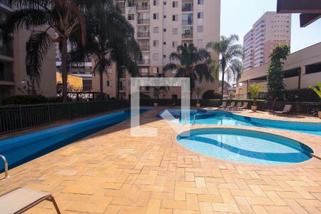 Apartamento para alugar com 50m², 1 quarto e 1 vaga Apartamento para alugar com 50m², 1 quarto e 1 vagaÁrea comum - Piscina