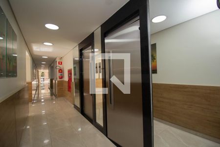 Hall social - Elevadores de apartamento à venda com 3 quartos, 65m² em Jardim Íris, São Paulo
