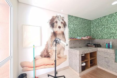 Apartamento à venda com 77m², 2 quartos e 1 vagaÁrea comum - Pet