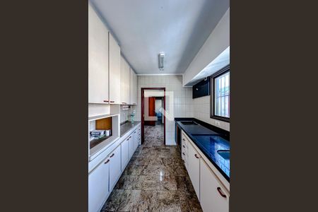 Apartamento para alugar com 356m², 3 quartos e 3 vagasCozinha