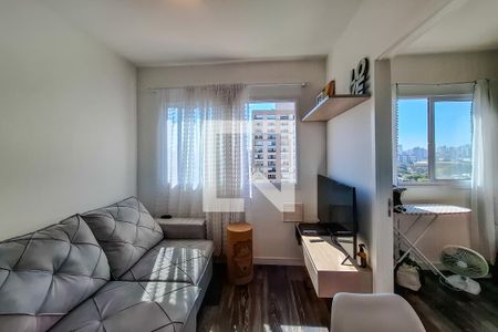 sala de apartamento para alugar com 2 quartos, 33m² em Cambuci, São Paulo