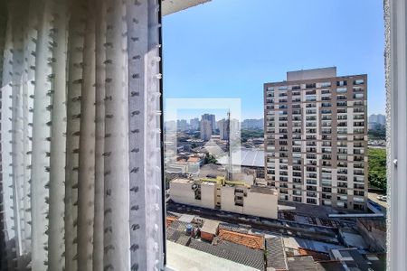 sala janela de apartamento para alugar com 2 quartos, 33m² em Cambuci, São Paulo