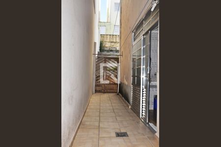 Apartamento para alugar com 60m², 2 quartos e 1 vaga Apartamento para alugar com 60m², 2 quartos e 1 vagaDetalhe do Quintal