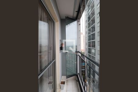 Apartamento à venda com 2 quartos, 53m² em Vila Gustavo, São Paulo