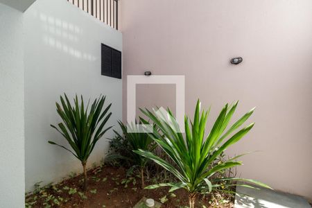 Studio para alugar com 24m², 1 quarto e sem vagaÁrea comum - Jardim