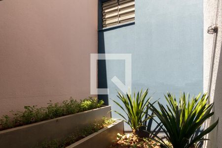 Studio para alugar com 24m², 1 quarto e sem vagaÁrea comum - Jardim