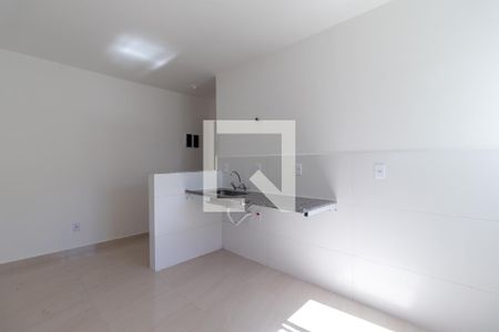 Apartamento para alugar com 40m², 1 quarto e sem vagaCozinha