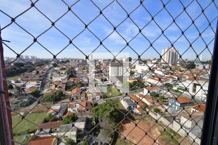 Quarto 1 de apartamento à venda com 3 quartos, 80m² em Ponte Preta, Campinas