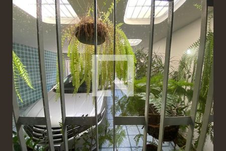 Casa à venda com 3 quartos, 200m² em Planalto Paulista, São Paulo