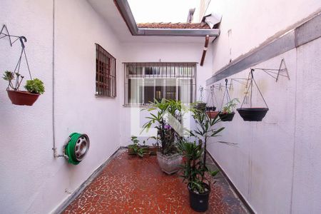 Casa à venda com 160m², 3 quartos e sem vaga Casa à venda com 160m², 3 quartos e sem vagaQuintal