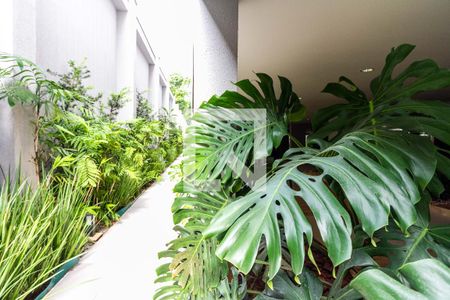 Apartamento à venda com 68m², 2 quartos e 2 vagasÁrea comum