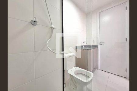 Banheiro de apartamento para alugar com 2 quartos, 37m² em Lapa de Baixo, São Paulo