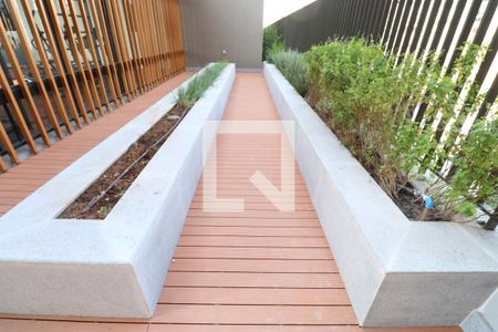 Apartamento para alugar com 28m², 1 quarto e sem vagaHorta