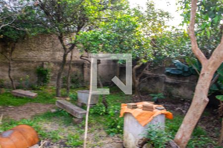 Casa à venda com 500m², 2 quartos e 2 vagasÁrvores frutíferas