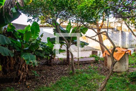 Casa à venda com 500m², 2 quartos e 2 vagasÁrvores frutíferas