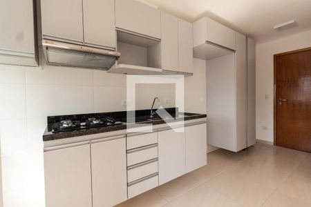 Apartamento para alugar com 46m², 2 quartos e 1 vagaCozinha