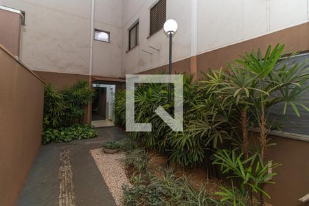 Apartamento para alugar com 53m², 2 quartos e 1 vaga Apartamento para alugar com 53m², 2 quartos e 1 vagaÁrea comum