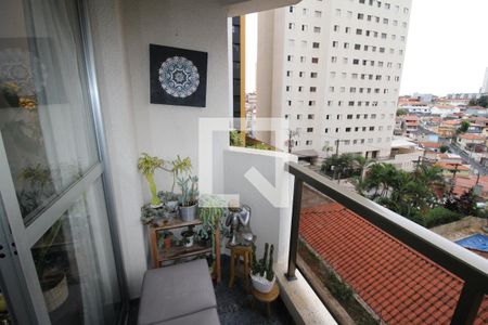 Sala - Varanda de apartamento à venda com 4 quartos, 90m² em Chora Menino, São Paulo