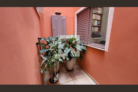 Jardim de inverno de casa para alugar com 3 quartos, 120m² em Jardim Pacaembu, Jundiaí