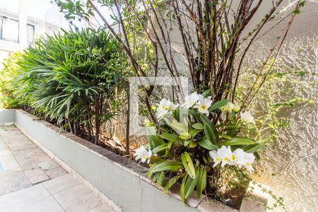 Casa de condomínio para alugar com 385m², 4 quartos e 3 vagas Casa de condomínio para alugar com 385m², 4 quartos e 3 vagasDetalhe