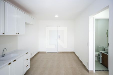 Sala e Cozinha de apartamento para alugar com 2 quartos, 39m² em Vila Moinho Velho, São Paulo