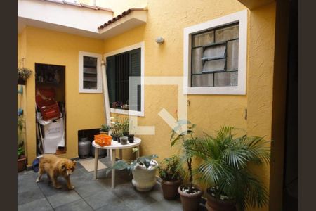 Casa à venda com 3 quartos, 200m² em Lauzane Paulista, São Paulo