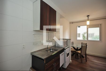 Apartamento para alugar com 32m², 2 quartos e sem vaga Apartamento para alugar com 32m², 2 quartos e sem vagaCozinha
