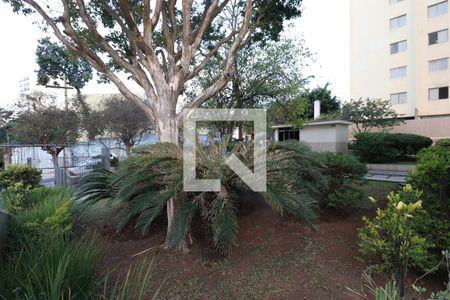 Apartamento para alugar com 89m², 3 quartos e 1 vagaÁrea comum