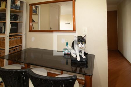 Sala de apartamento para alugar com 3 quartos, 64m² em Barro Branco (zona Norte), São Paulo