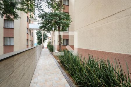 Área comum de apartamento à venda com 2 quartos, 90m² em Super Quadra Morumbi, São Paulo