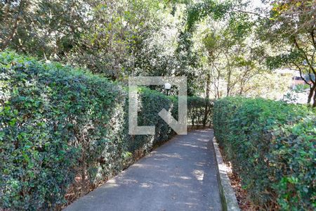 Apartamento para alugar com 61m², 2 quartos e 1 vagaÁrea comum