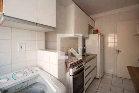 Cozinha de apartamento para alugar com 2 quartos, 48m² em Jardim Recanto dos Sonhos, Sumaré