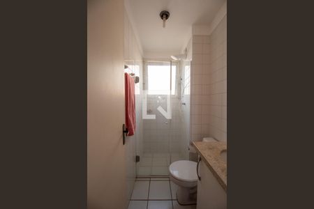 Banheiro de apartamento para alugar com 2 quartos, 48m² em Jardim Recanto dos Sonhos, Sumaré