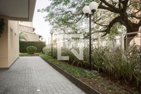 Apartamento para alugar com 84m², 2 quartos e 2 vagasÁrea comum