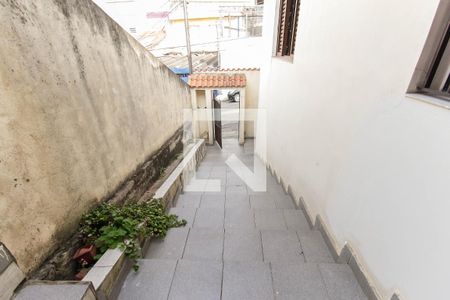 Casa à venda com 783m², 2 quartos e 1 vagaQuintal